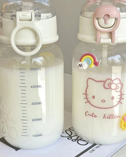 SANRIO Water Bottle