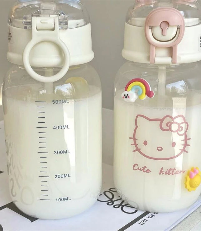 SANRIO Water Bottle