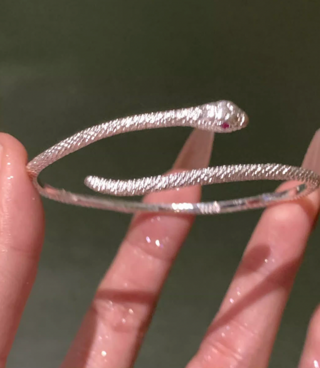 Silver Snake Bracelet