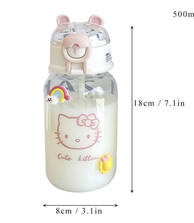 SANRIO Water Bottle